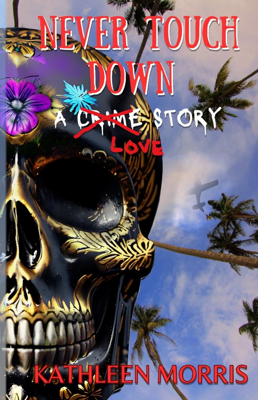 Vorderes Coverbild Never Touch Down