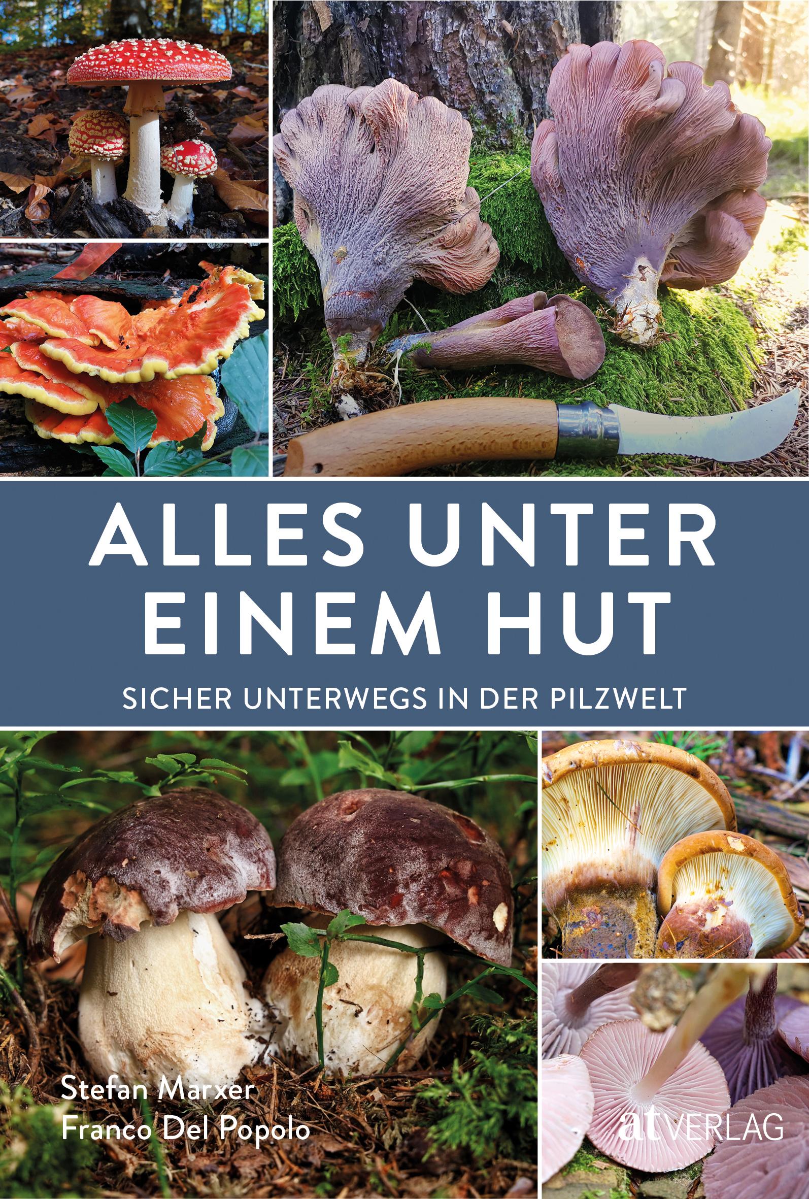 Vorderes Coverbild Alles unter einem Hut
