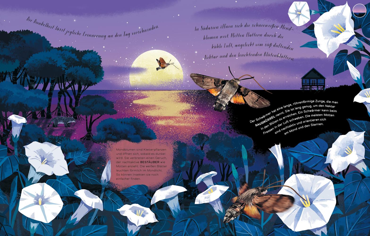 Beispielinhalt (Bild) Tag und Nacht