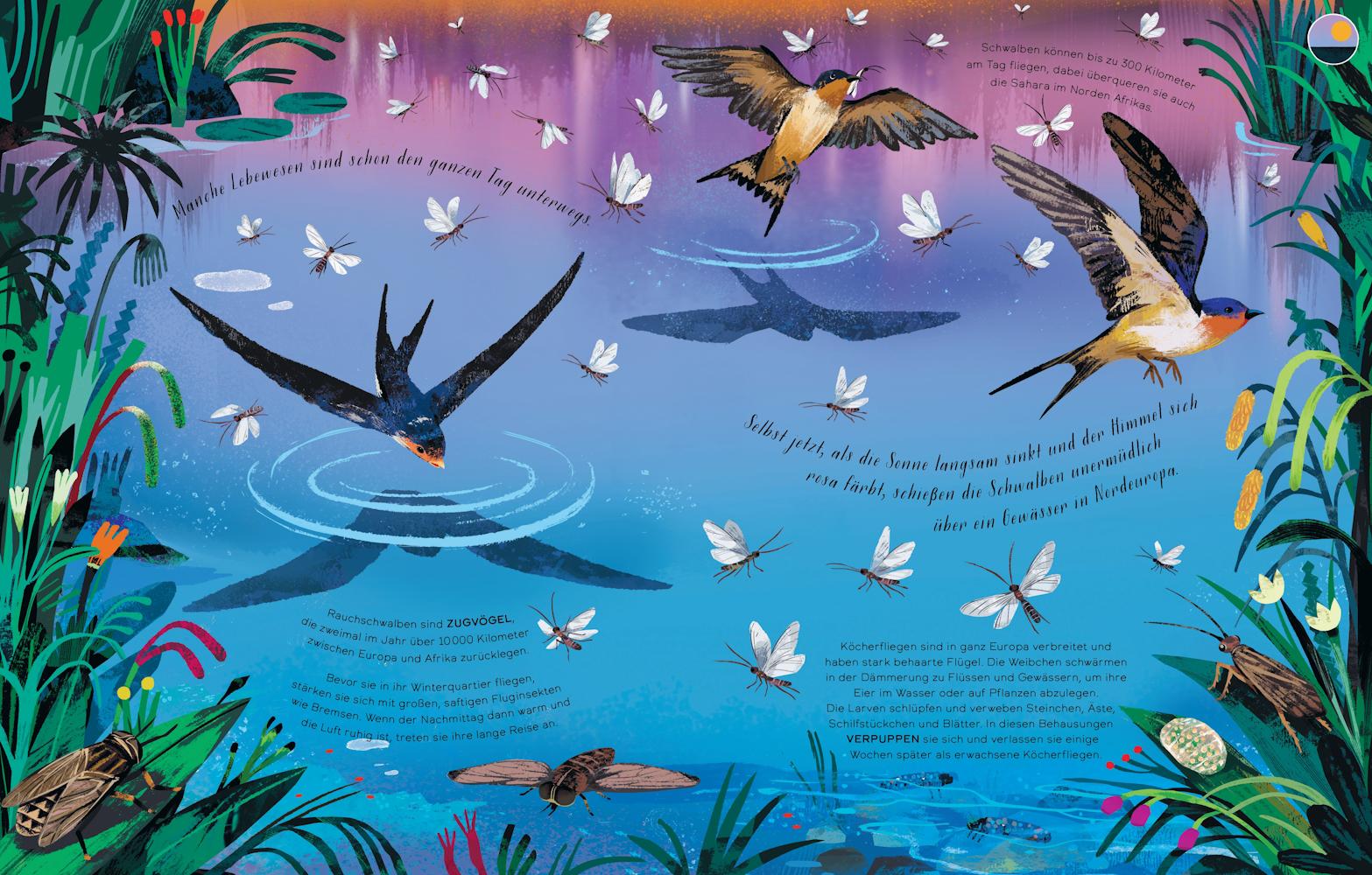 Beispielinhalt (Bild) Tag und Nacht