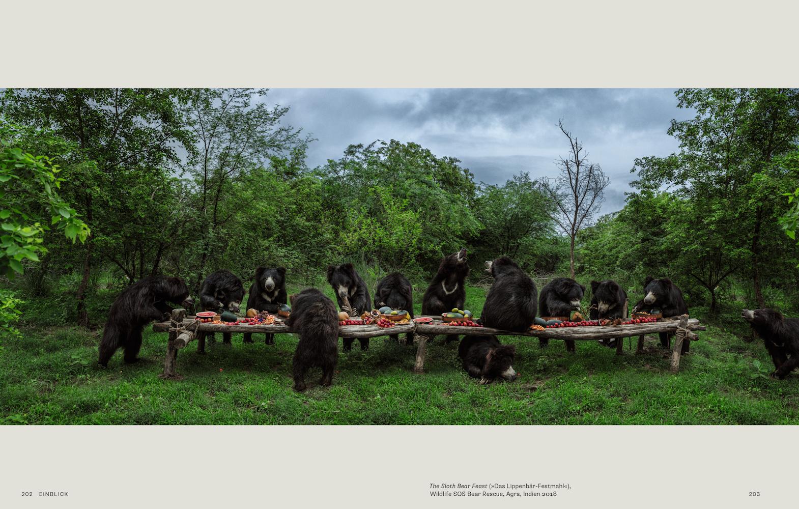 Beispielinhalt (Bild) Warum wir Tiere fotografieren