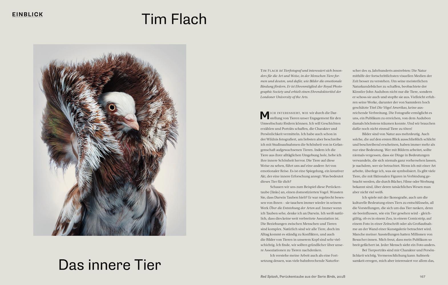 Beispielinhalt (Bild) Warum wir Tiere fotografieren