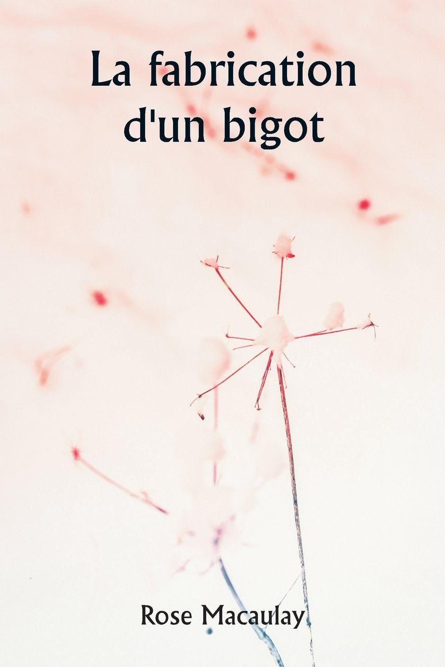 Vorderes Coverbild La fabrication d'un bigot