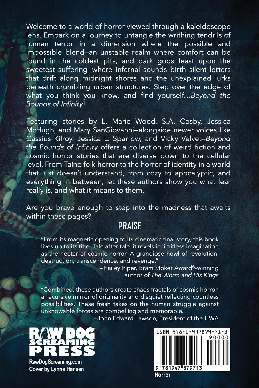 Rückseitencover Beyond the Bounds of Infinity