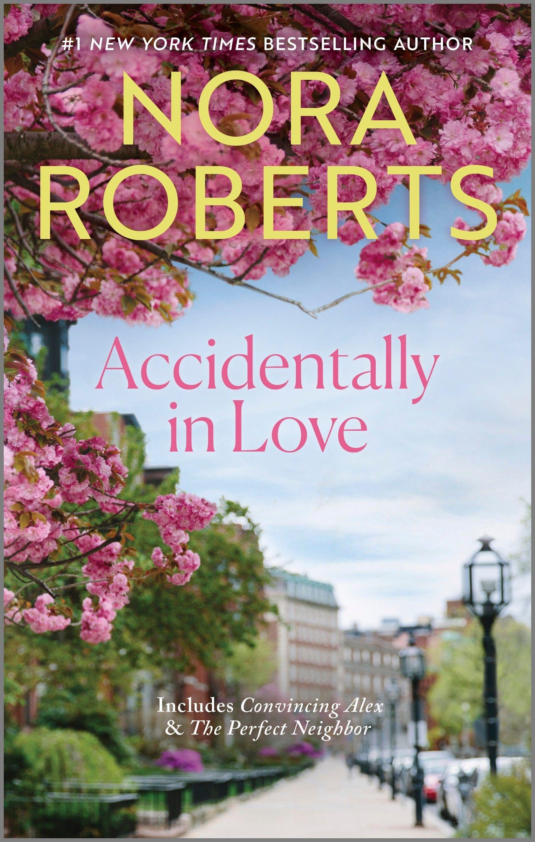 Vorderes Coverbild Accidentally in Love