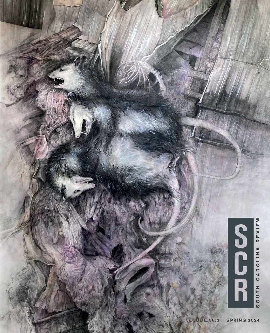 Vorderes Coverbild South Carolina Review