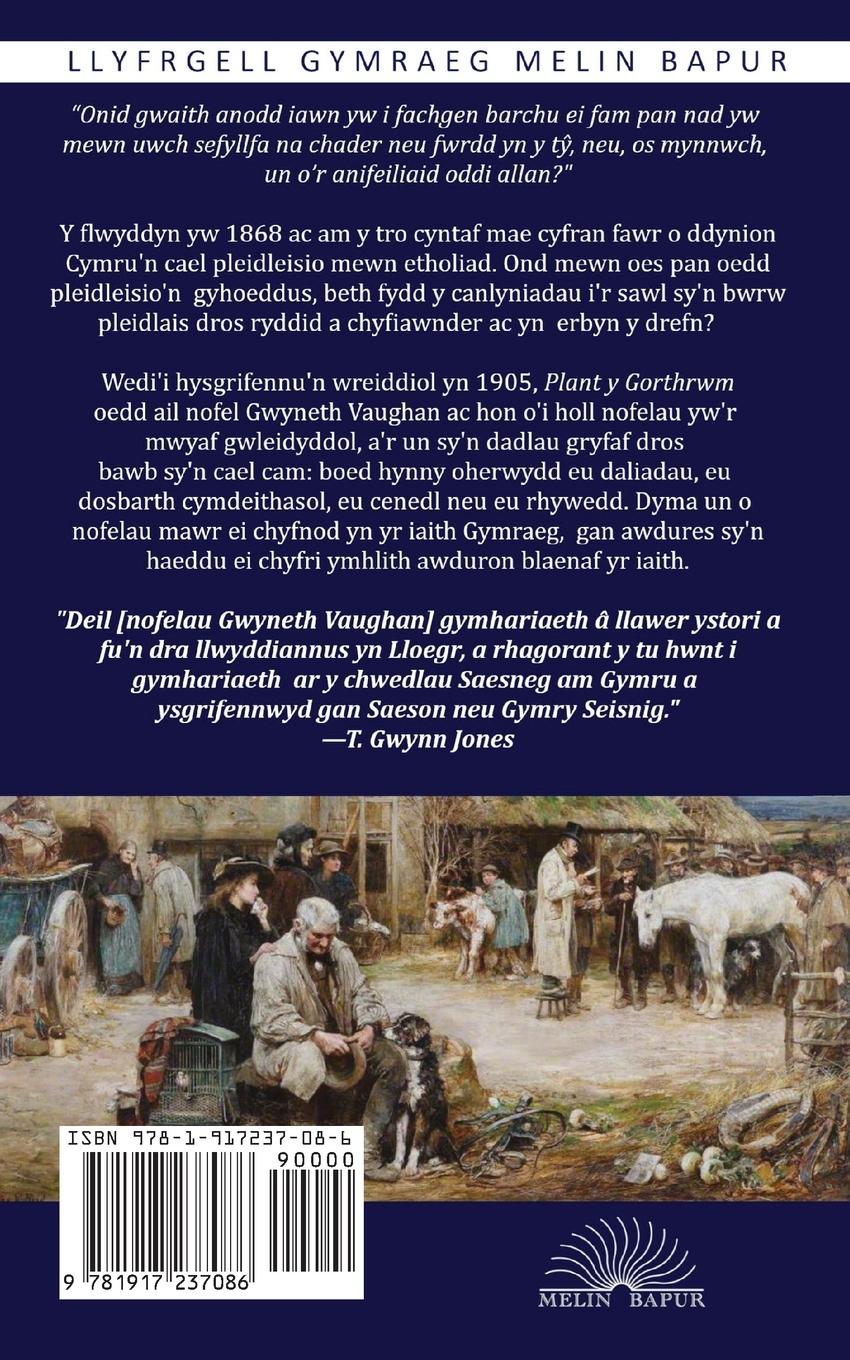 Rückseitencover Plant y Gorthrwm