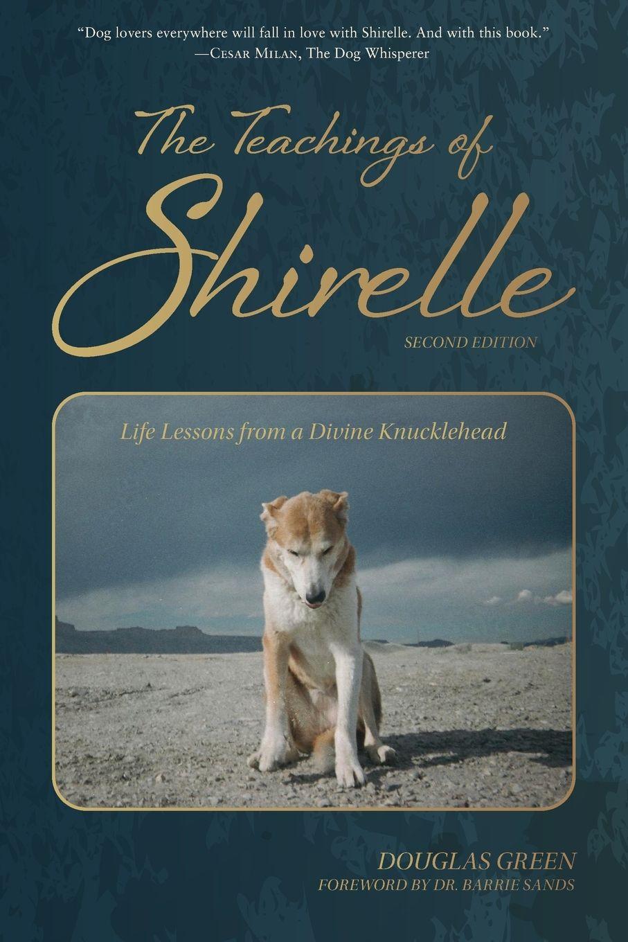 Vorderes Coverbild The Teachings of Shirelle