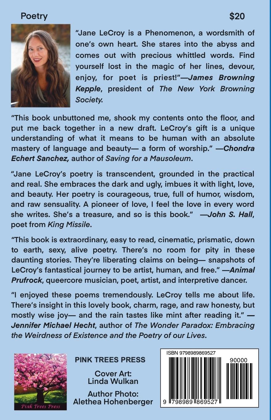 Rückseitencover Spellbook of Ordinary Mistakes