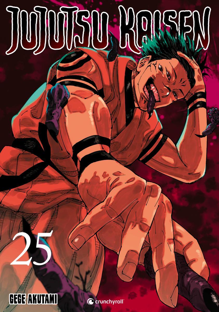 Vorderes Coverbild Jujutsu Kaisen - Band 25