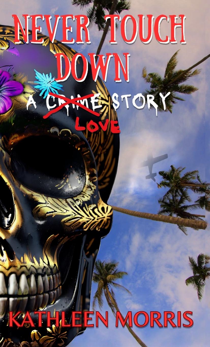 Vorderes Coverbild Never Touch Down