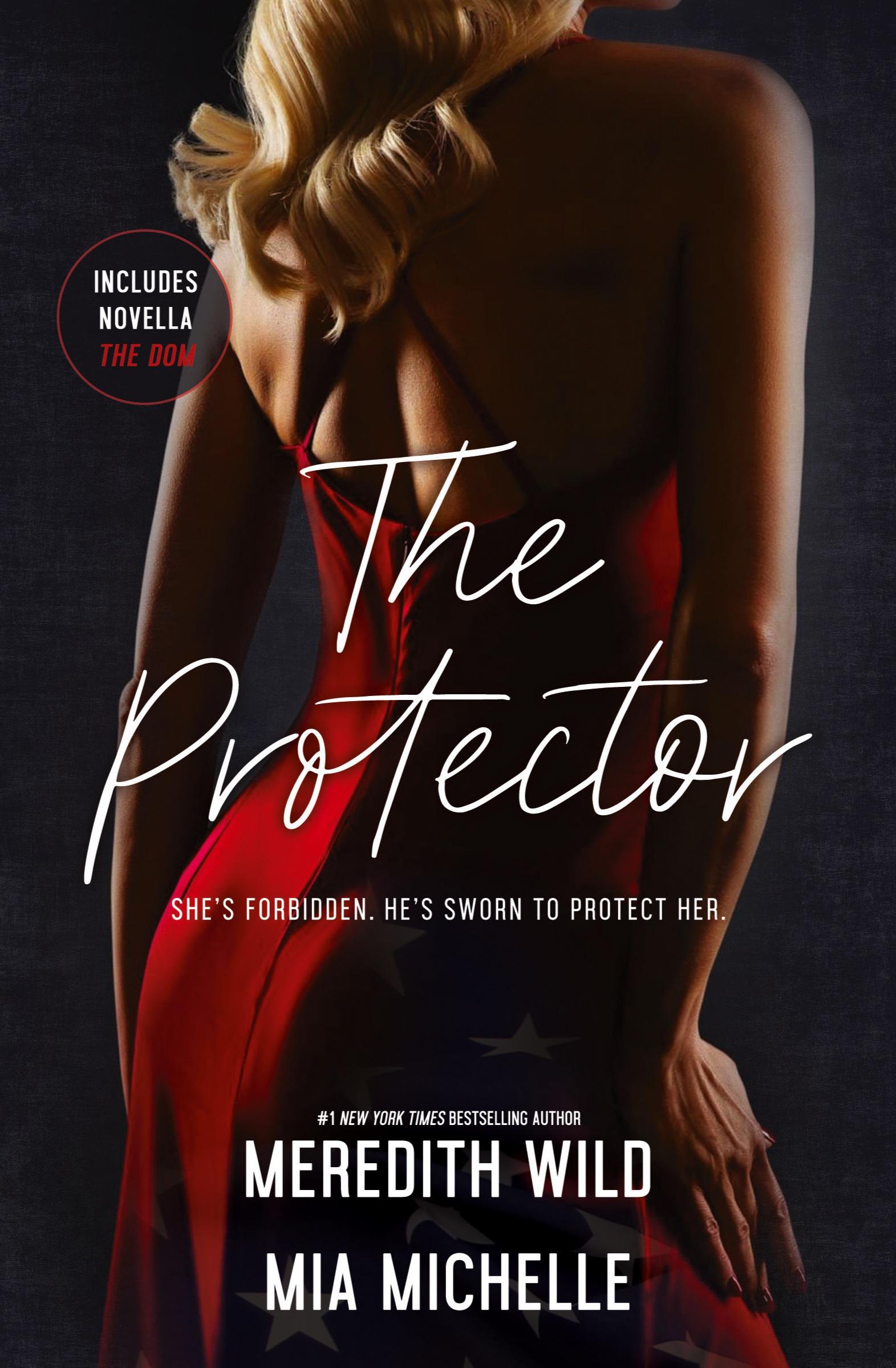 Vorderes Coverbild The Protector