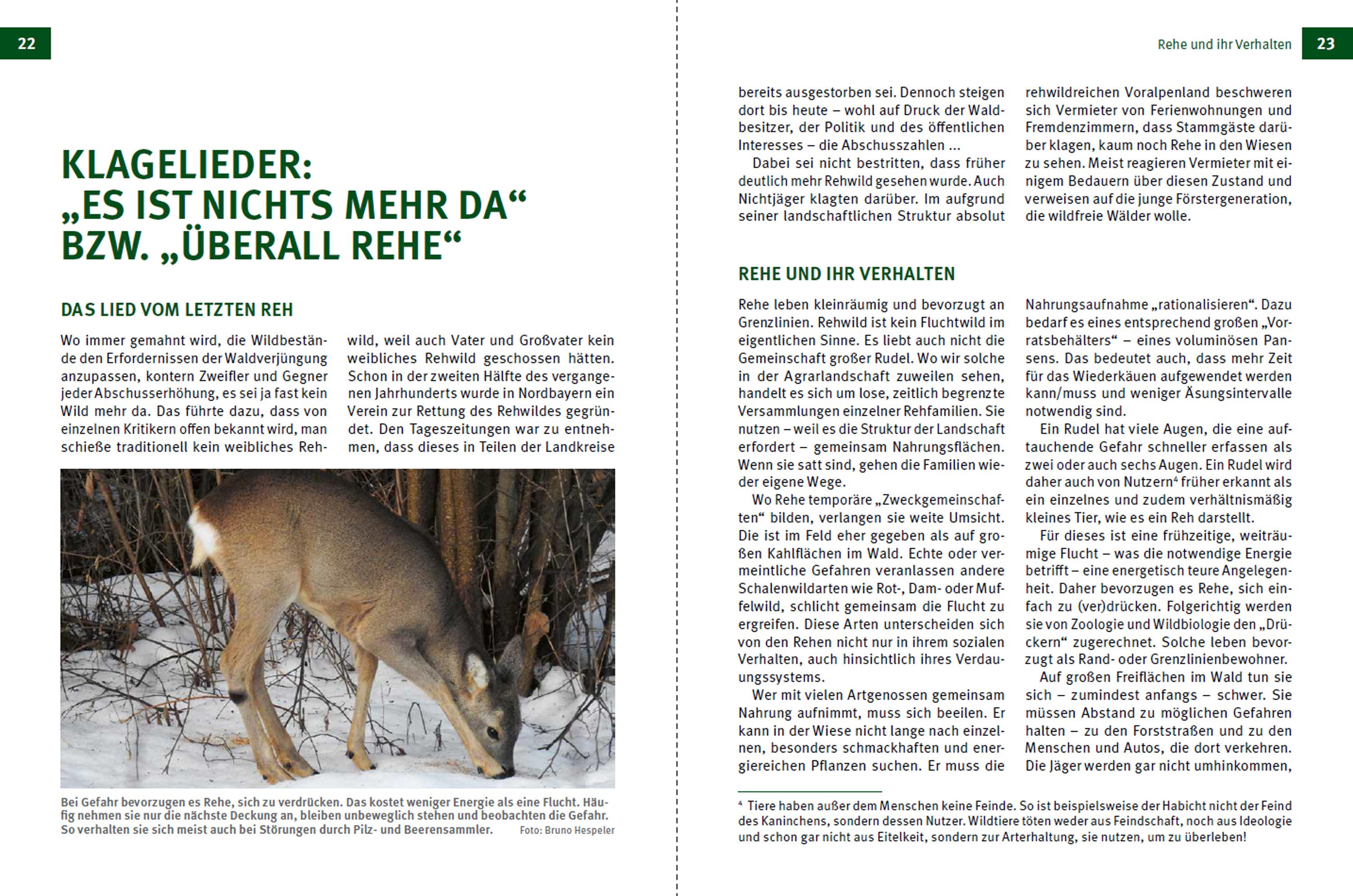 Beispielinhalt (Bild) Die Jagd