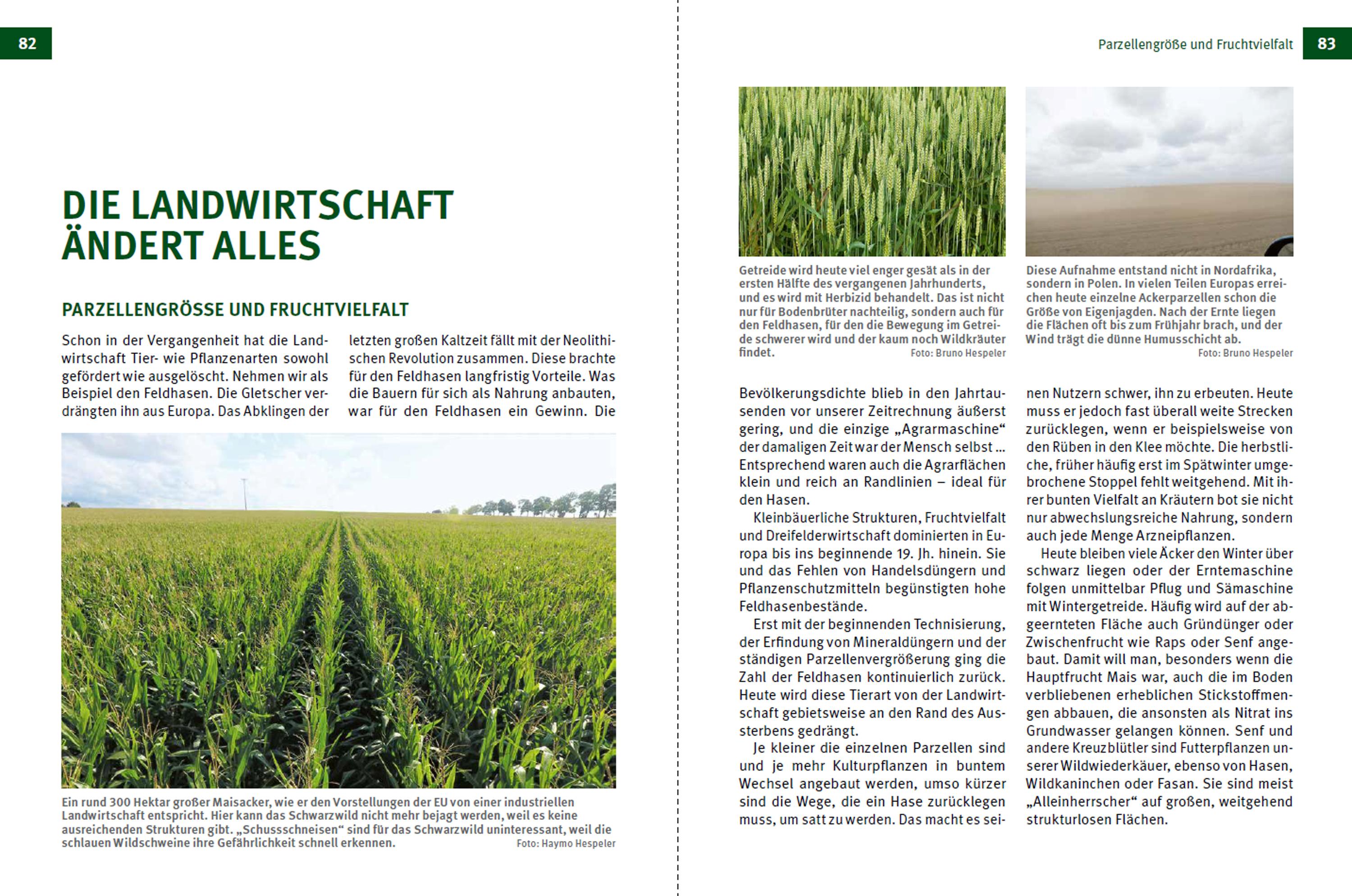 Beispielinhalt (Bild) Die Jagd