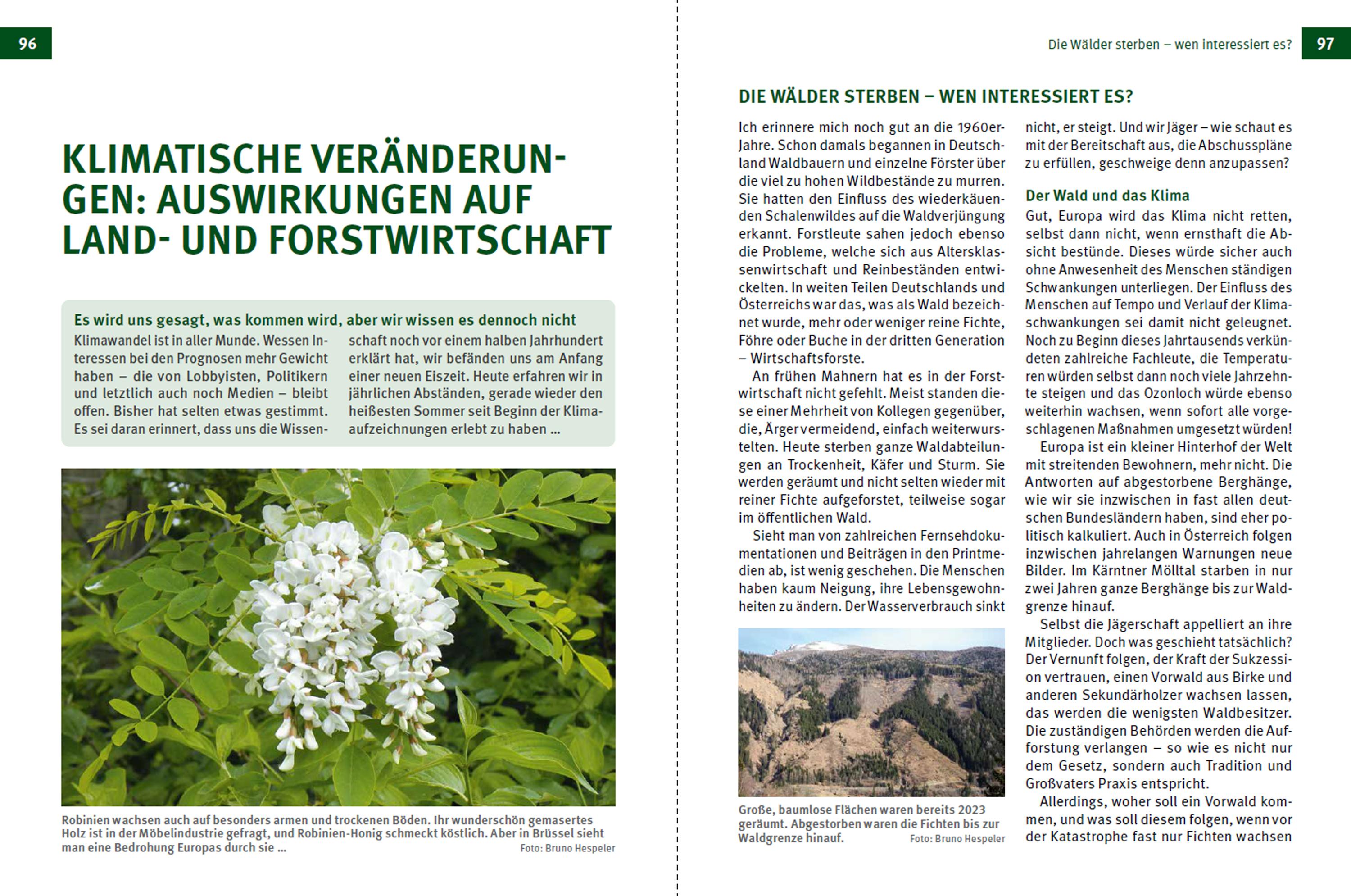 Beispielinhalt (Bild) Die Jagd