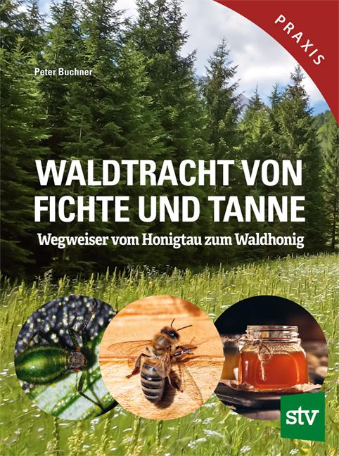 Vorderes Coverbild Waldtracht von Fichte und Tanne