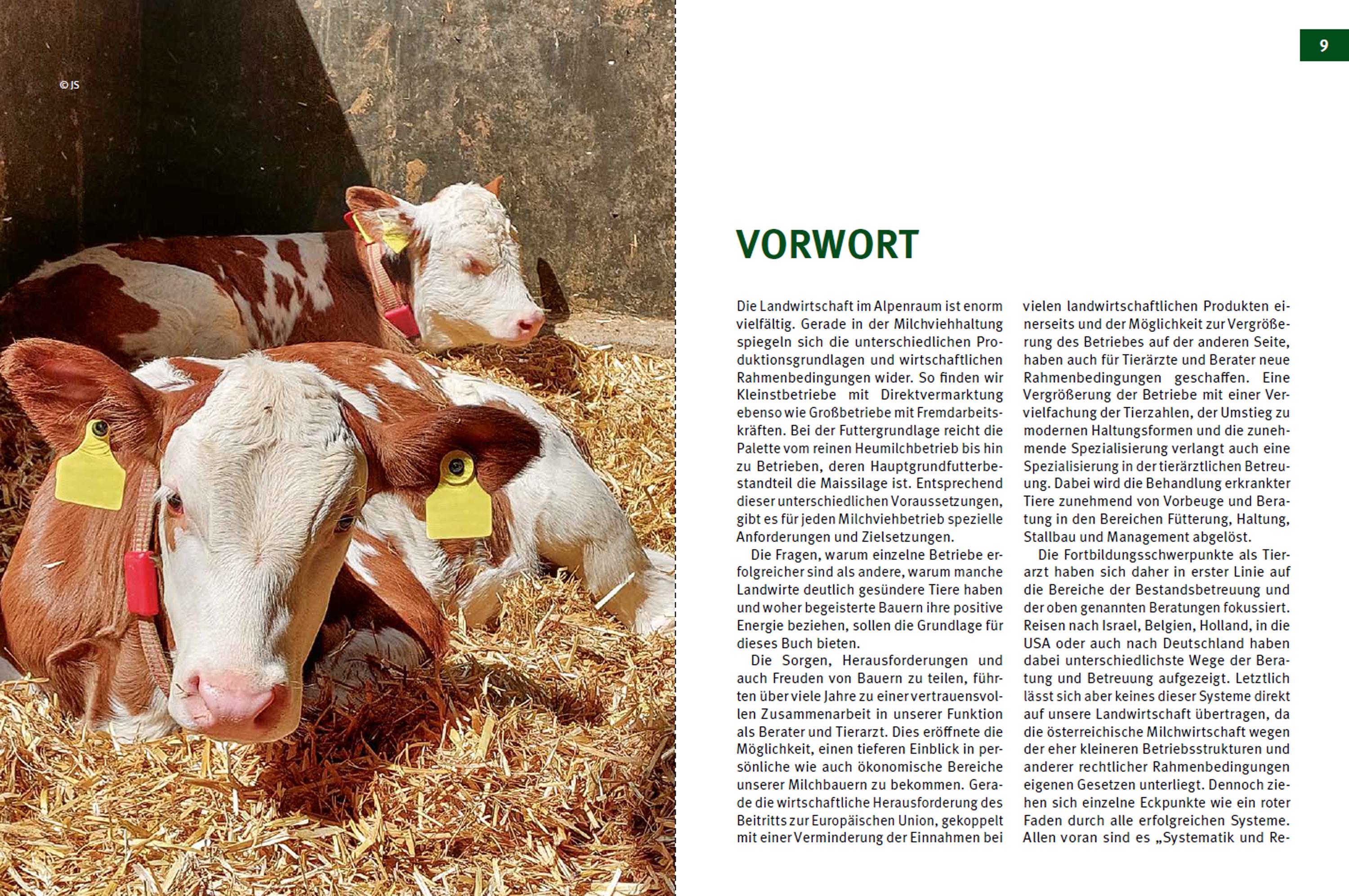 Beispielinhalt (Bild) Fruchtbare Kühe - Gesunde Kälber