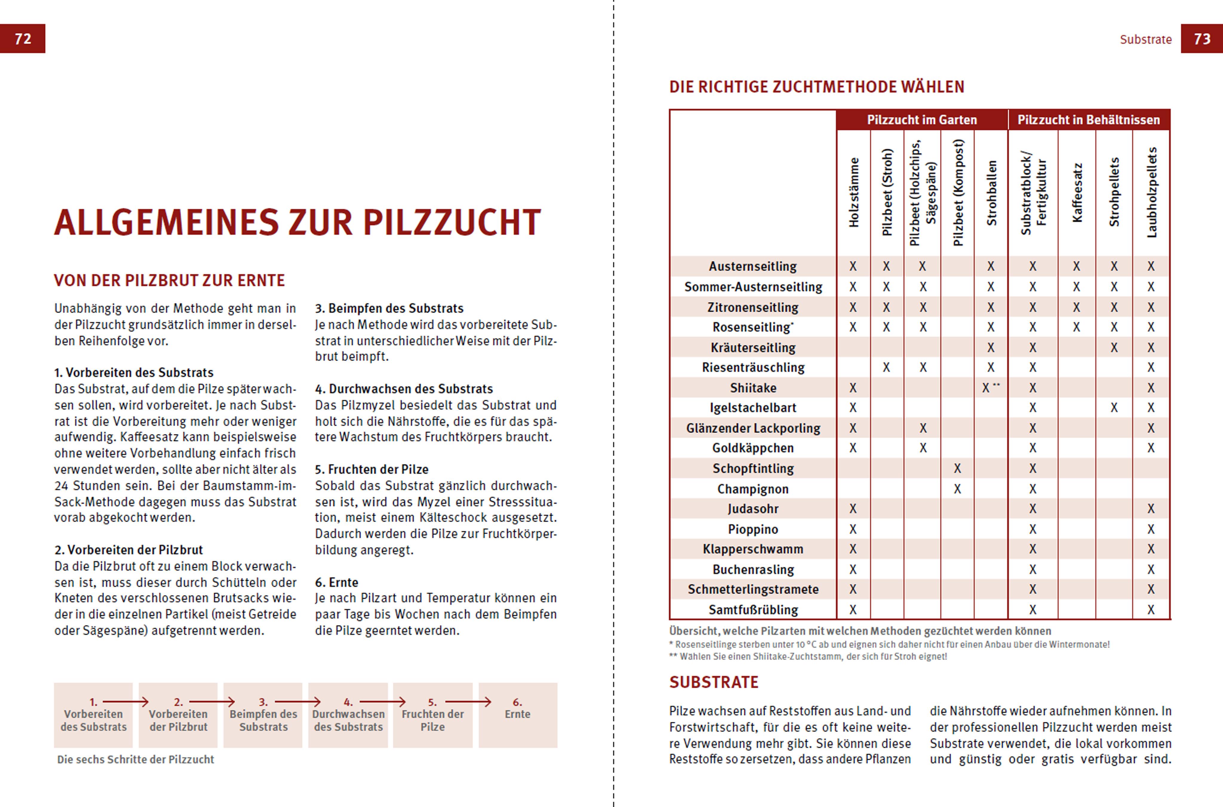 Beispielinhalt (Bild) Faszination Pilzzucht