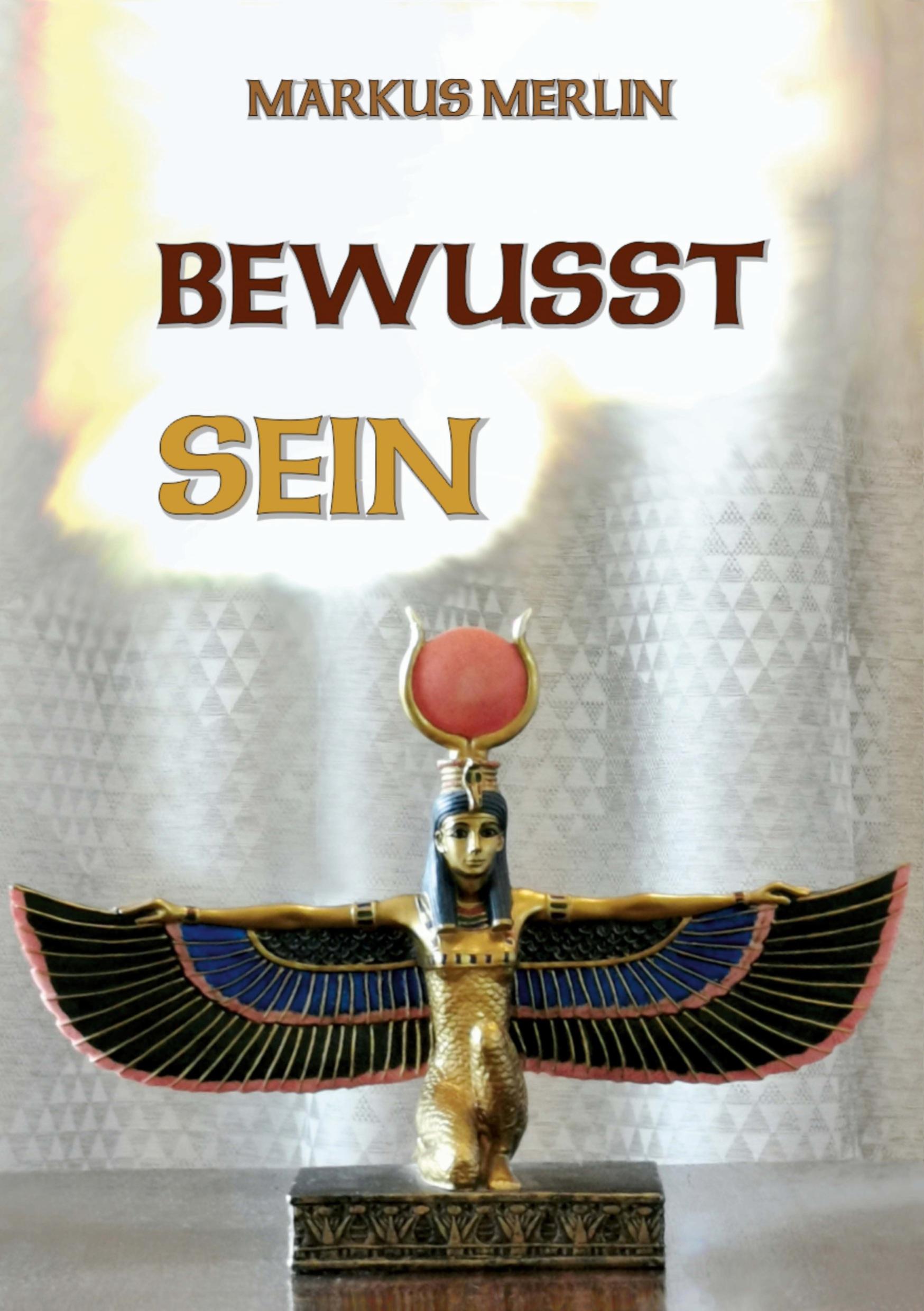 Vorderes Coverbild Bewusst Sein