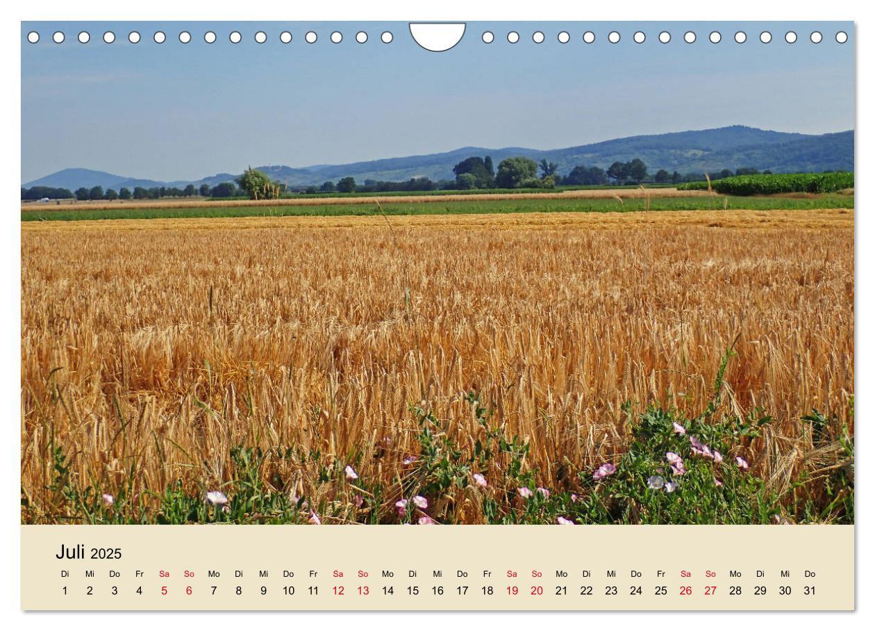 Beispielinhalt (Bild) Entlang der Bergstraße Burgen, Wein und Fachwerk (Wandkalender 2025 DIN A4 quer), CALVENDO Monatskalender