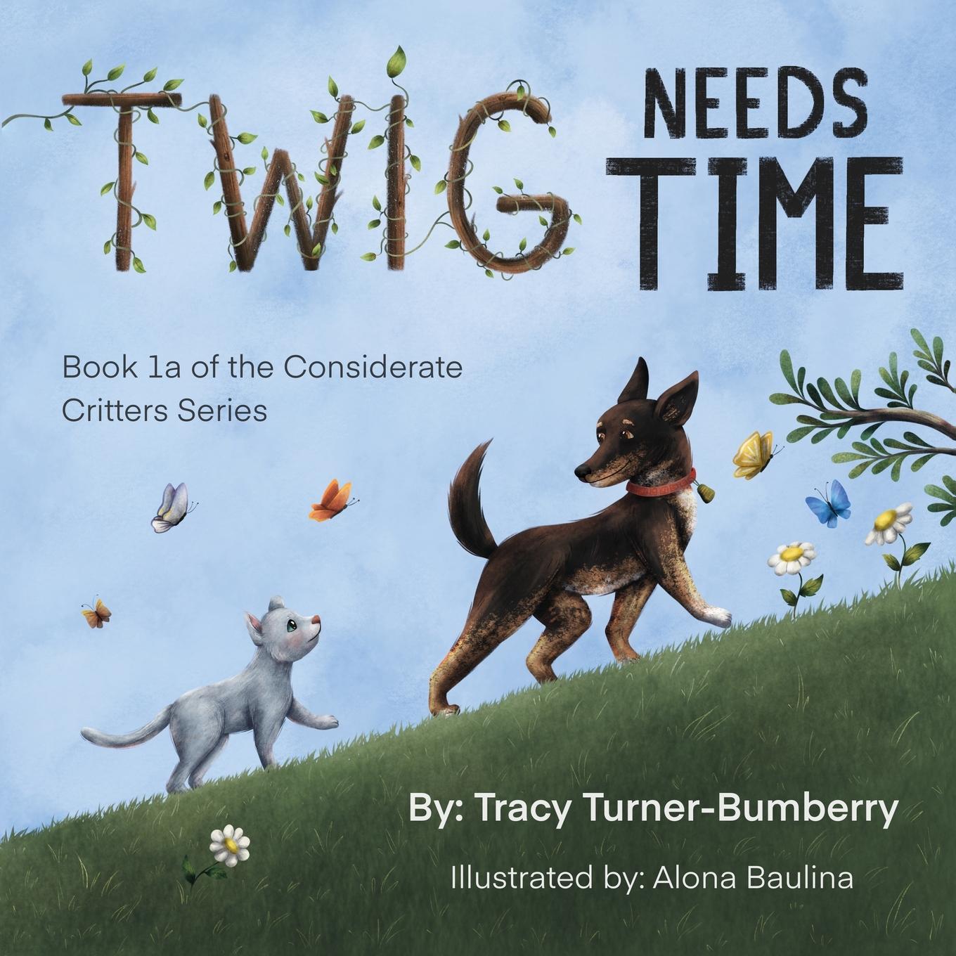Vorderes Coverbild Twig Needs Time