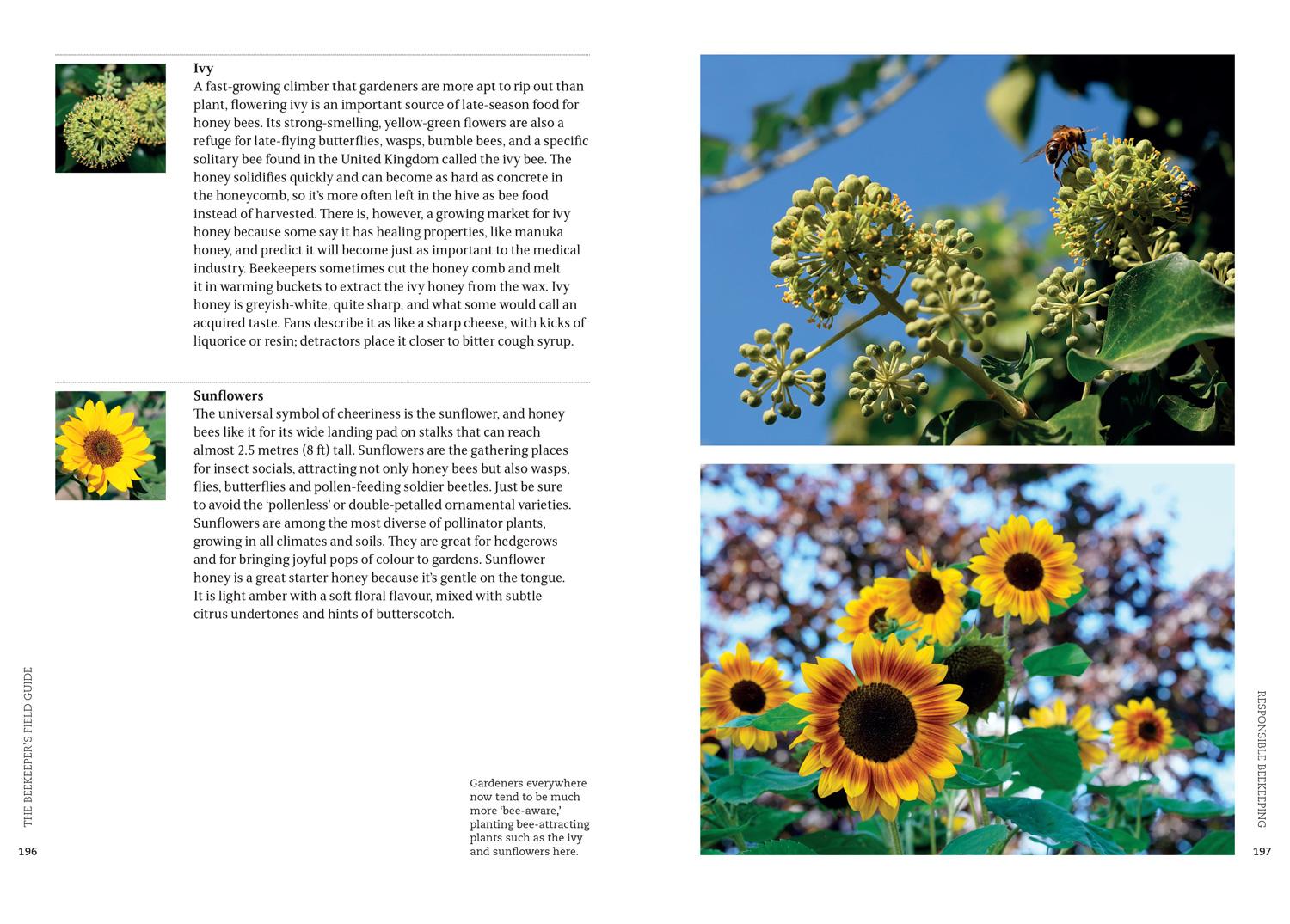 Beispielinhalt (Bild) The Beekeeper's Field Guide