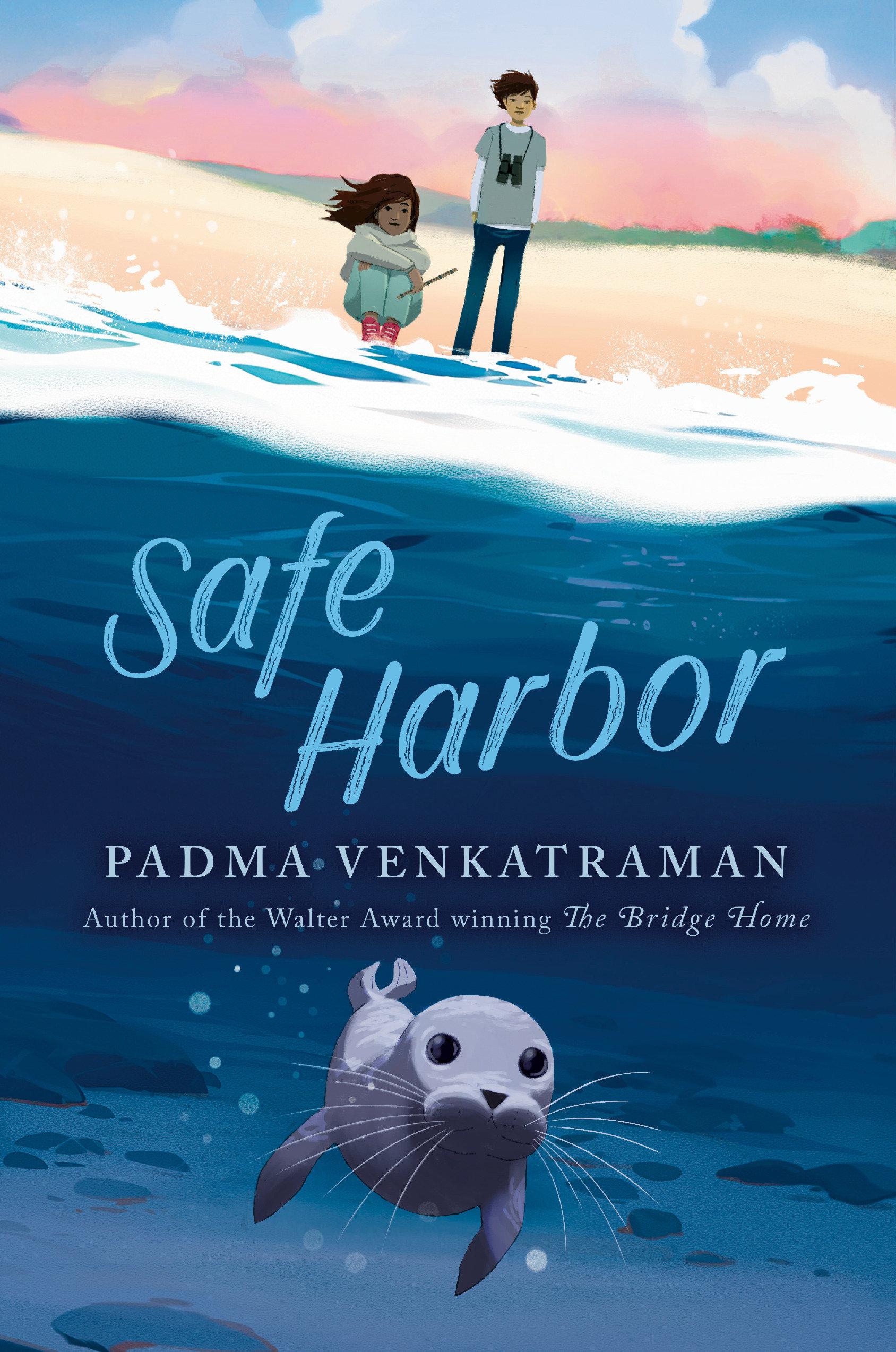 Vorderes Coverbild Safe Harbor