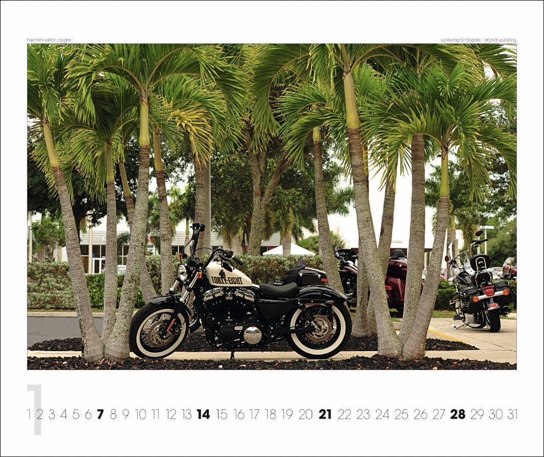 Beispielinhalt (Bild) Harley's 2025