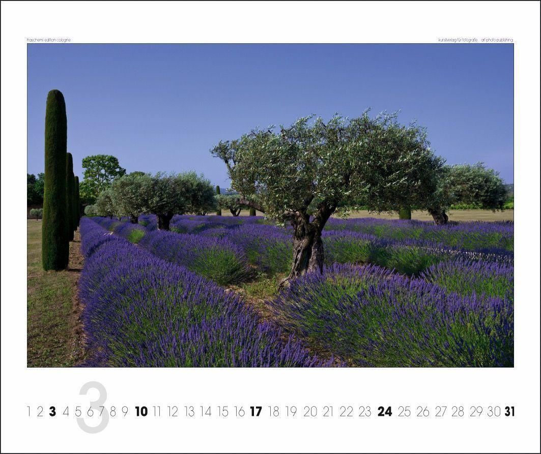 Beispielinhalt (Bild) Provence 2025