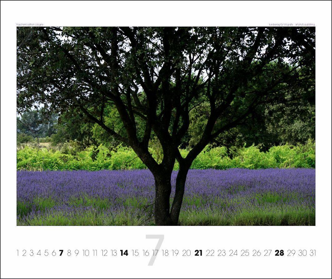 Beispielinhalt (Bild) Provence 2025