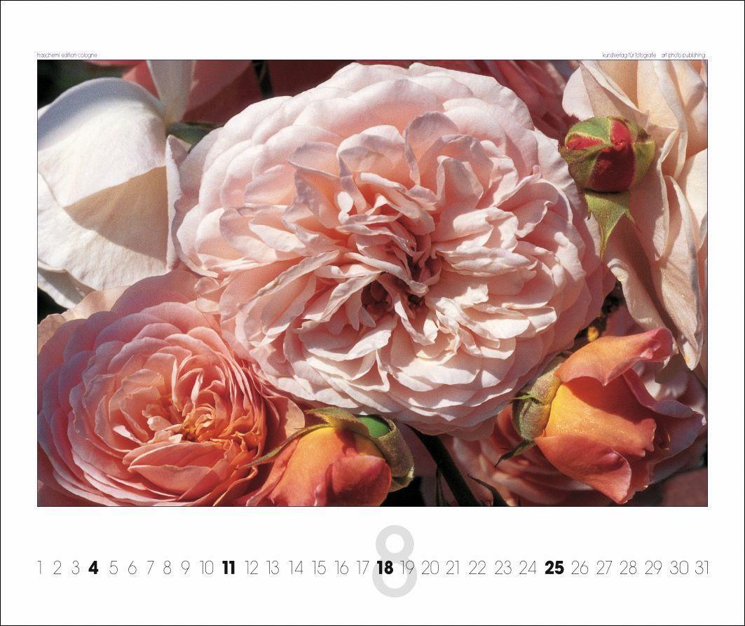 Beispielinhalt (Bild) Rosen 2025