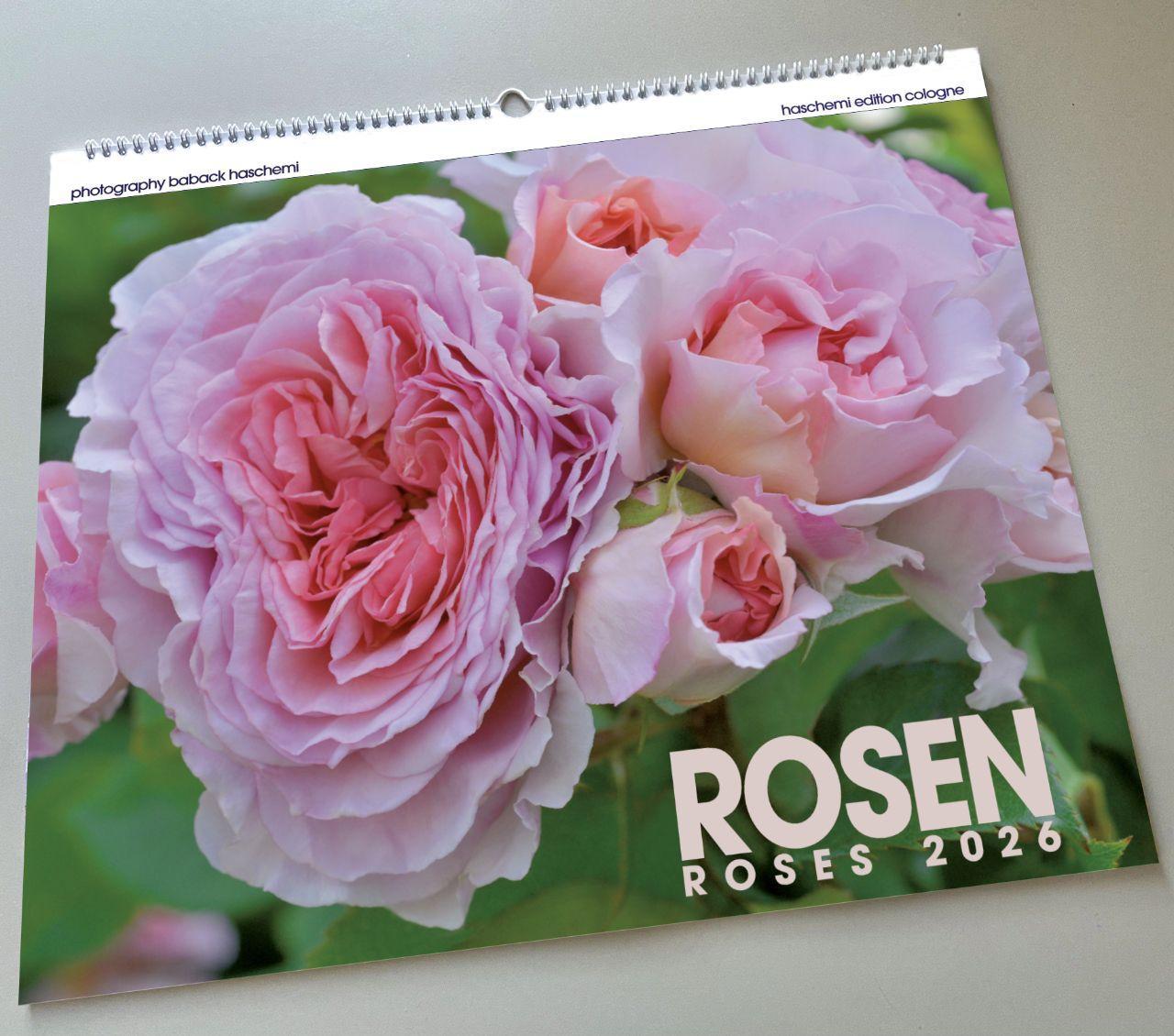 Beispielinhalt (Bild) Rosen 2025