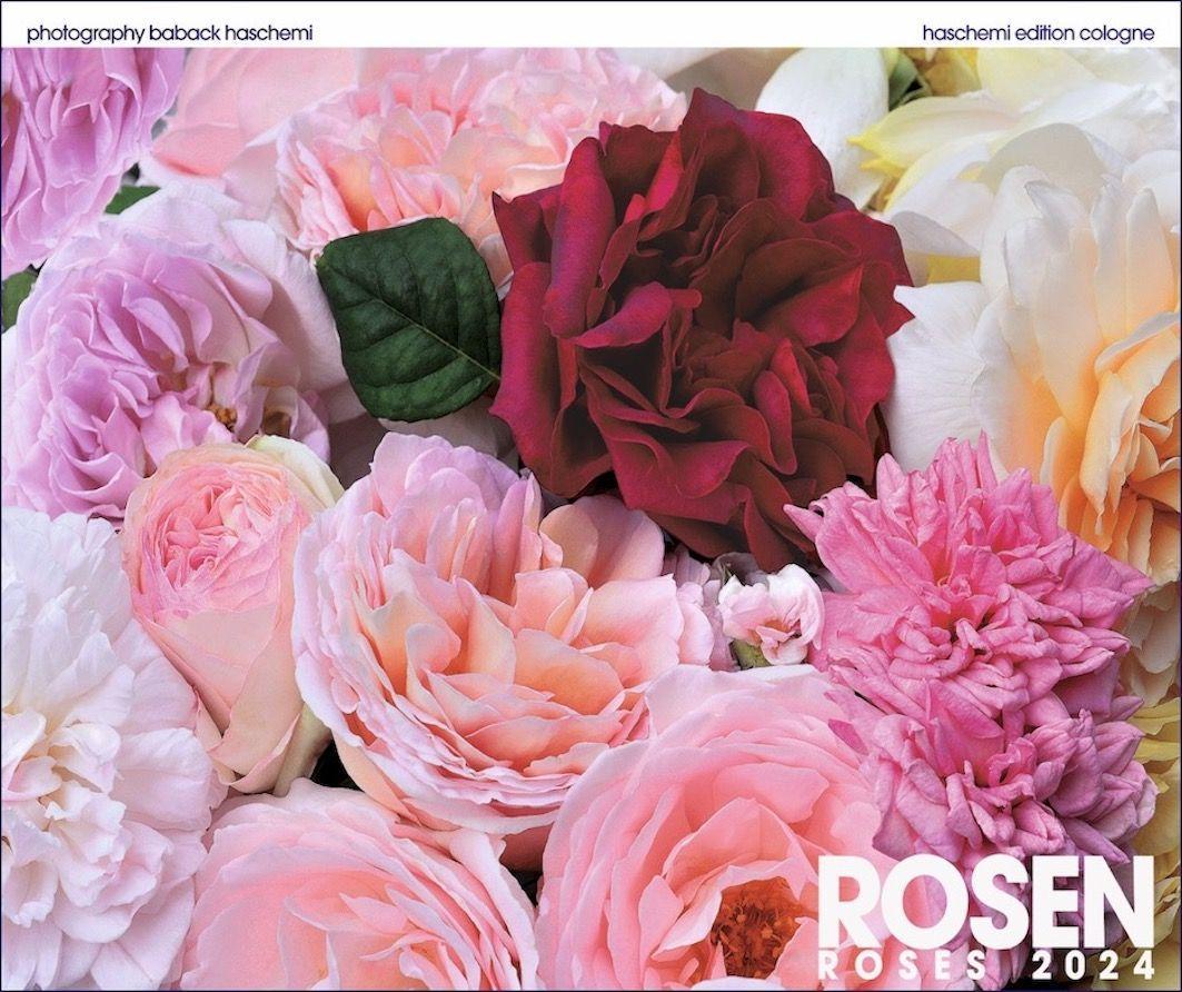 Vorderes Coverbild Rosen 2025