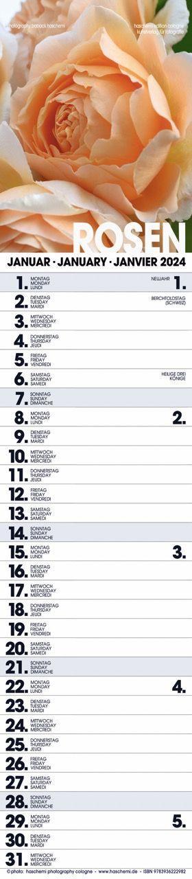 Beispielinhalt (Bild) Rosen Planer 2025
