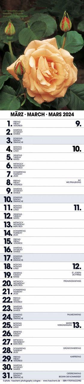 Beispielinhalt (Bild) Rosen Planer 2025