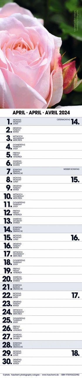 Beispielinhalt (Bild) Rosen Planer 2025