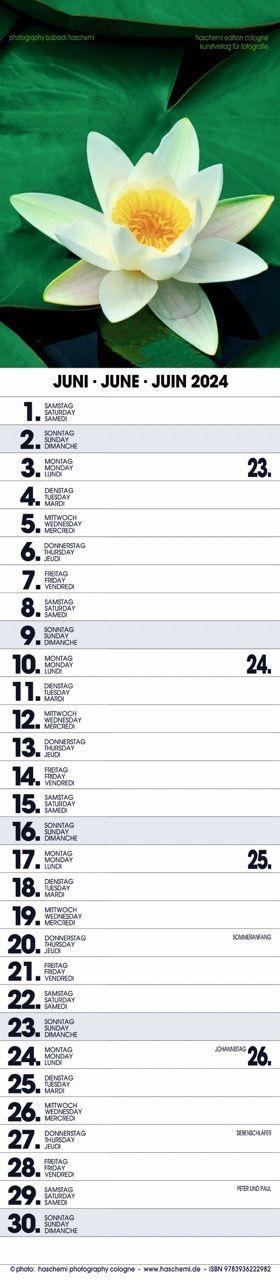 Beispielinhalt (Bild) Rosen Planer 2025