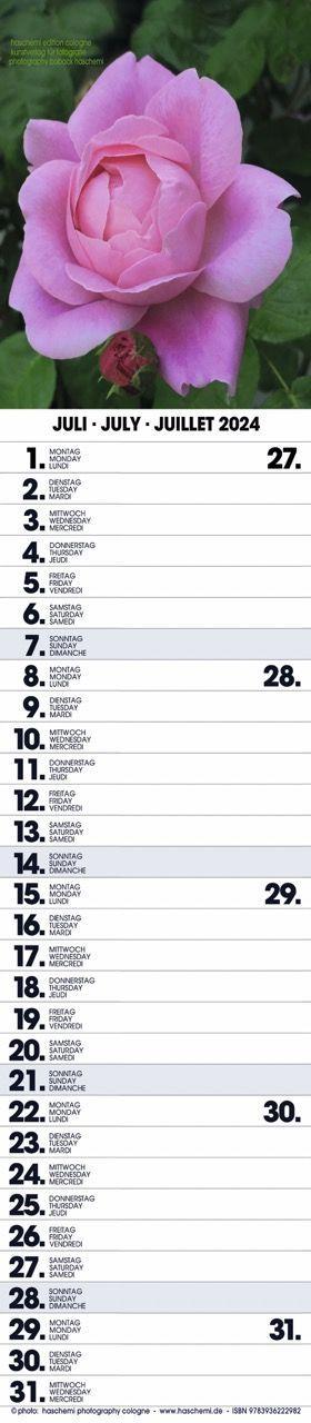 Beispielinhalt (Bild) Rosen Planer 2025