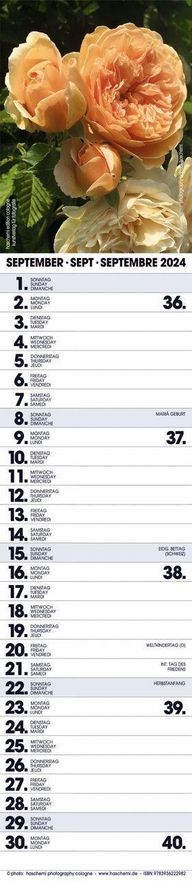 Beispielinhalt (Bild) Rosen Planer 2025