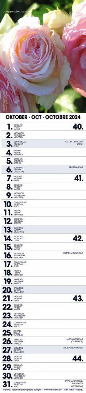 Beispielinhalt (Bild) Rosen Planer 2025