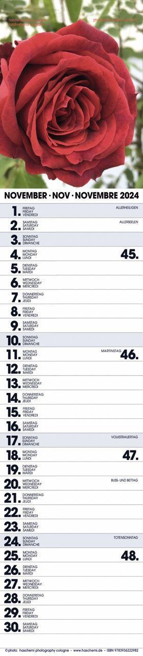 Beispielinhalt (Bild) Rosen Planer 2025