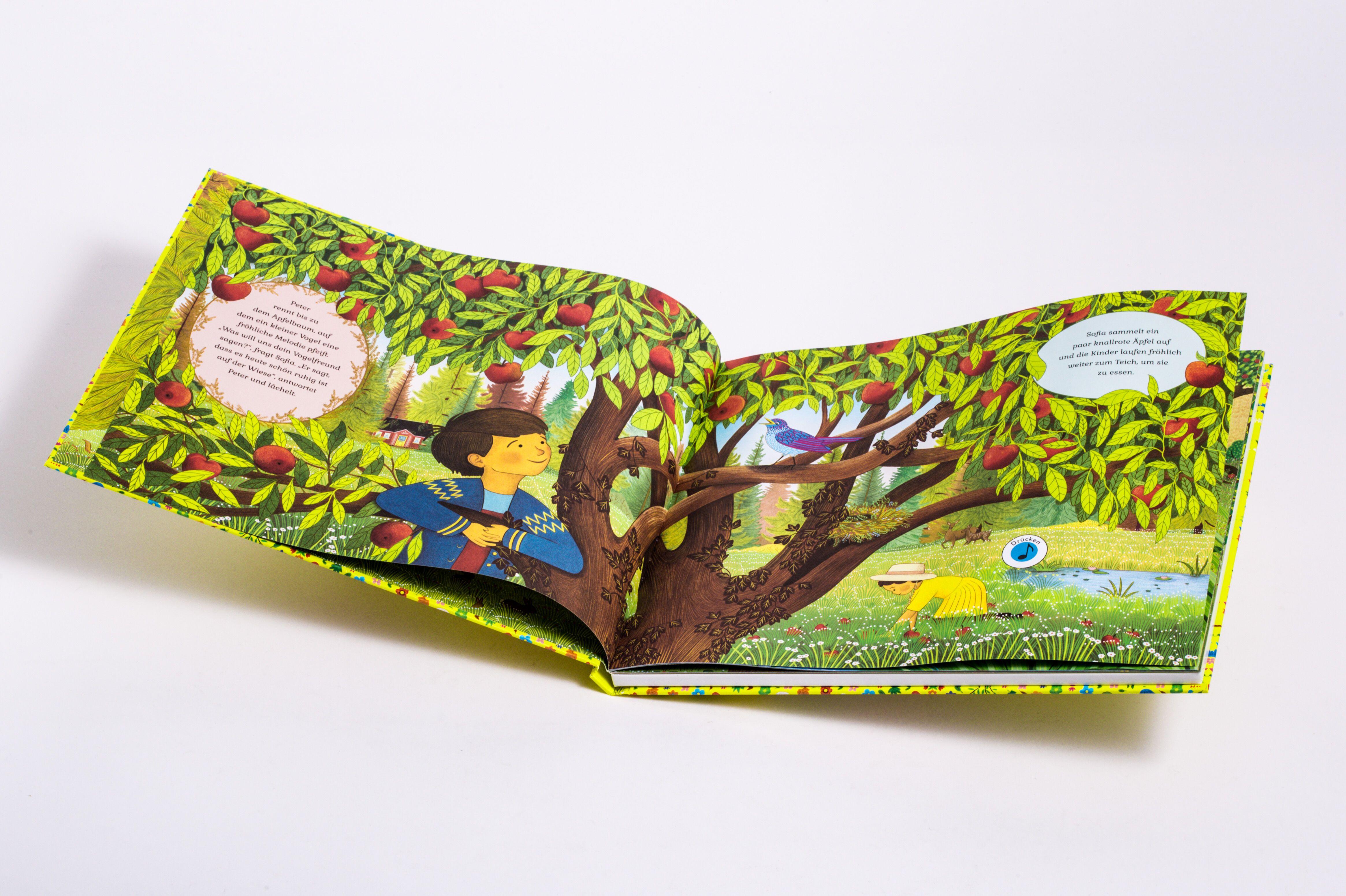 Beispielinhalt (Bild) Sergei Prokofjew. Peter und der Wolf