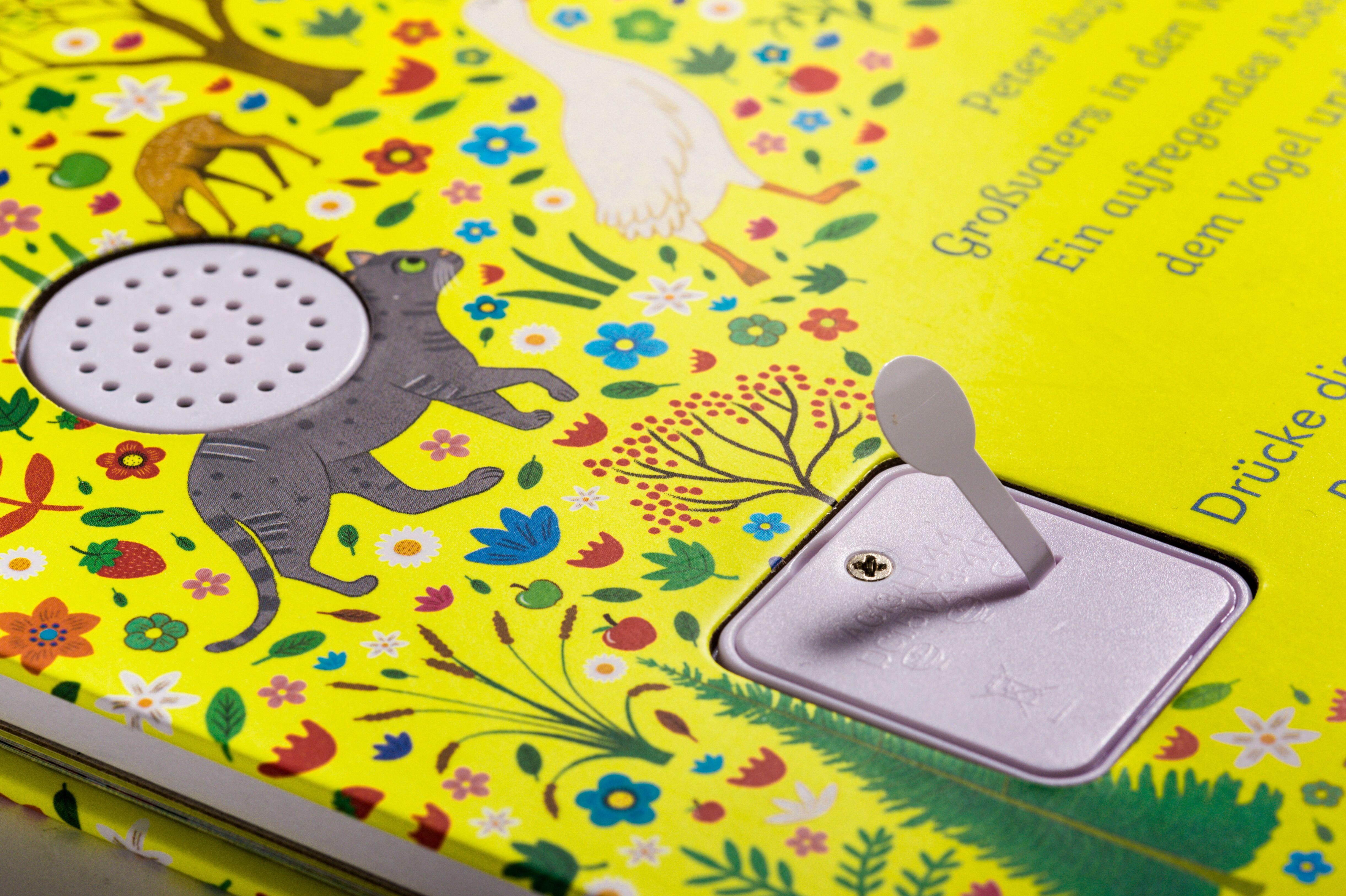 Beispielinhalt (Bild) Sergei Prokofjew. Peter und der Wolf