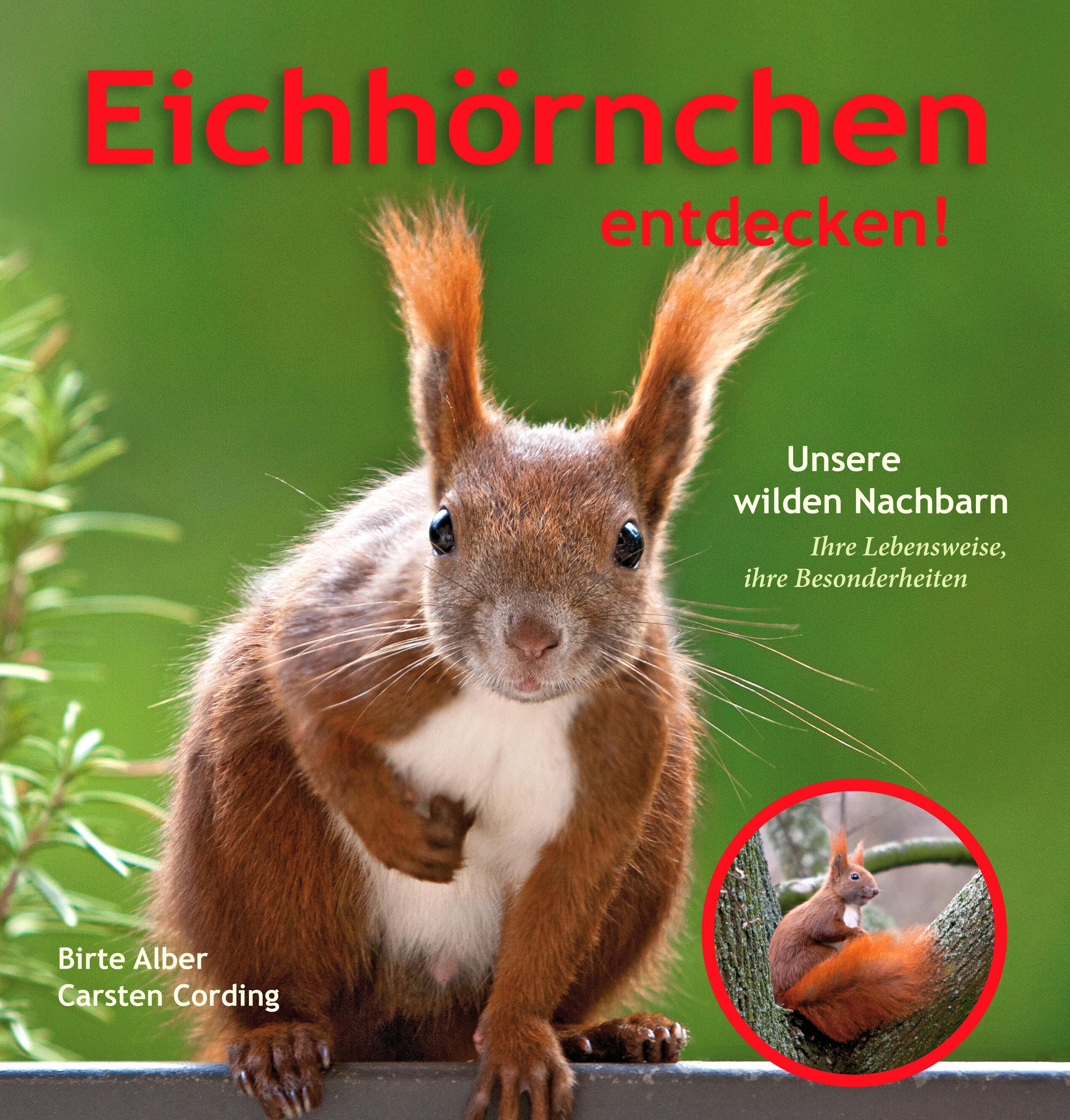 Vorderes Coverbild Eichhörnchen entdecken!
