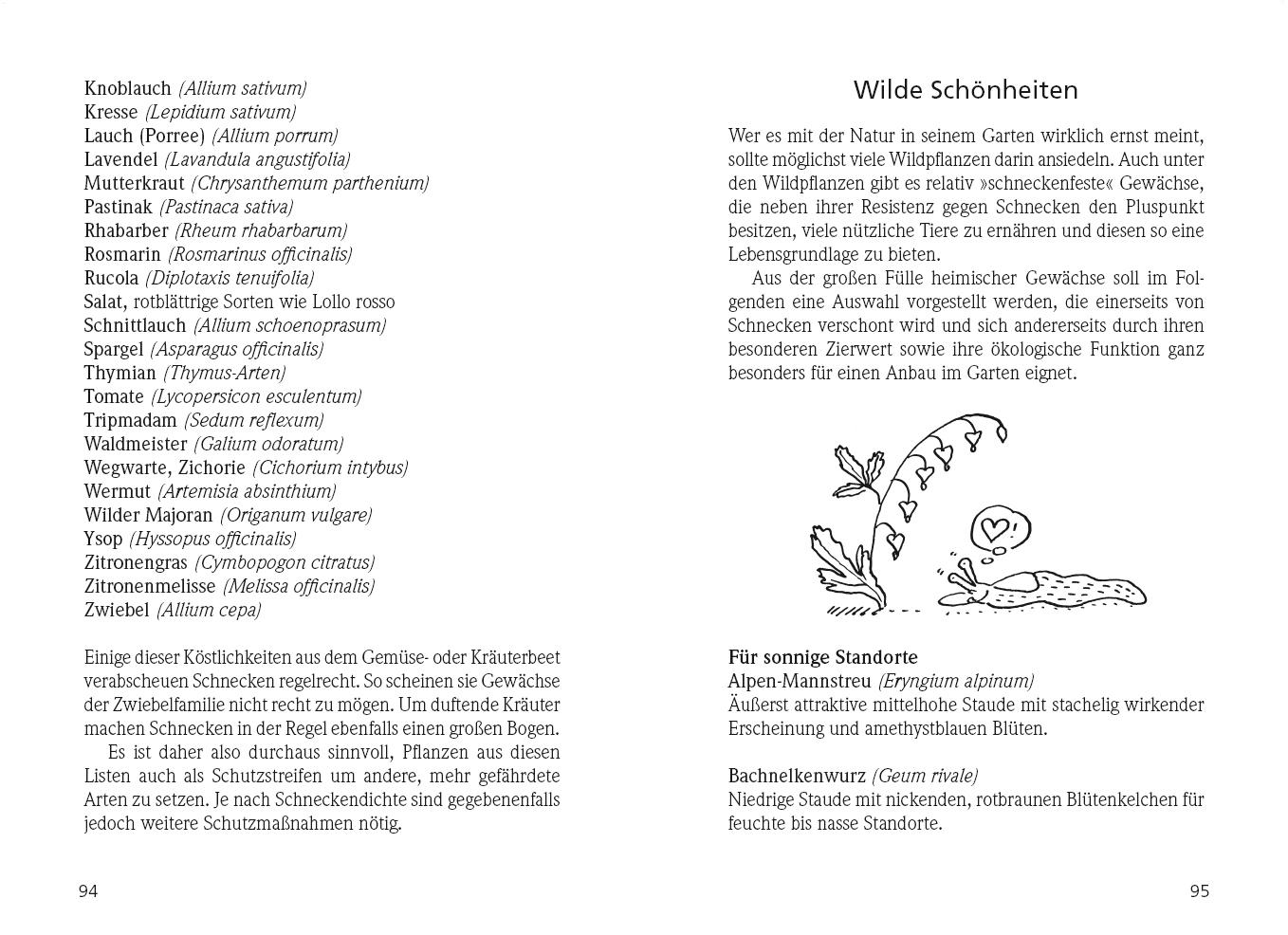 Beispielinhalt (Bild) Schneckenalarm!