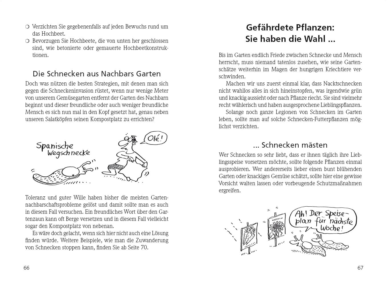 Beispielinhalt (Bild) Schneckenalarm!
