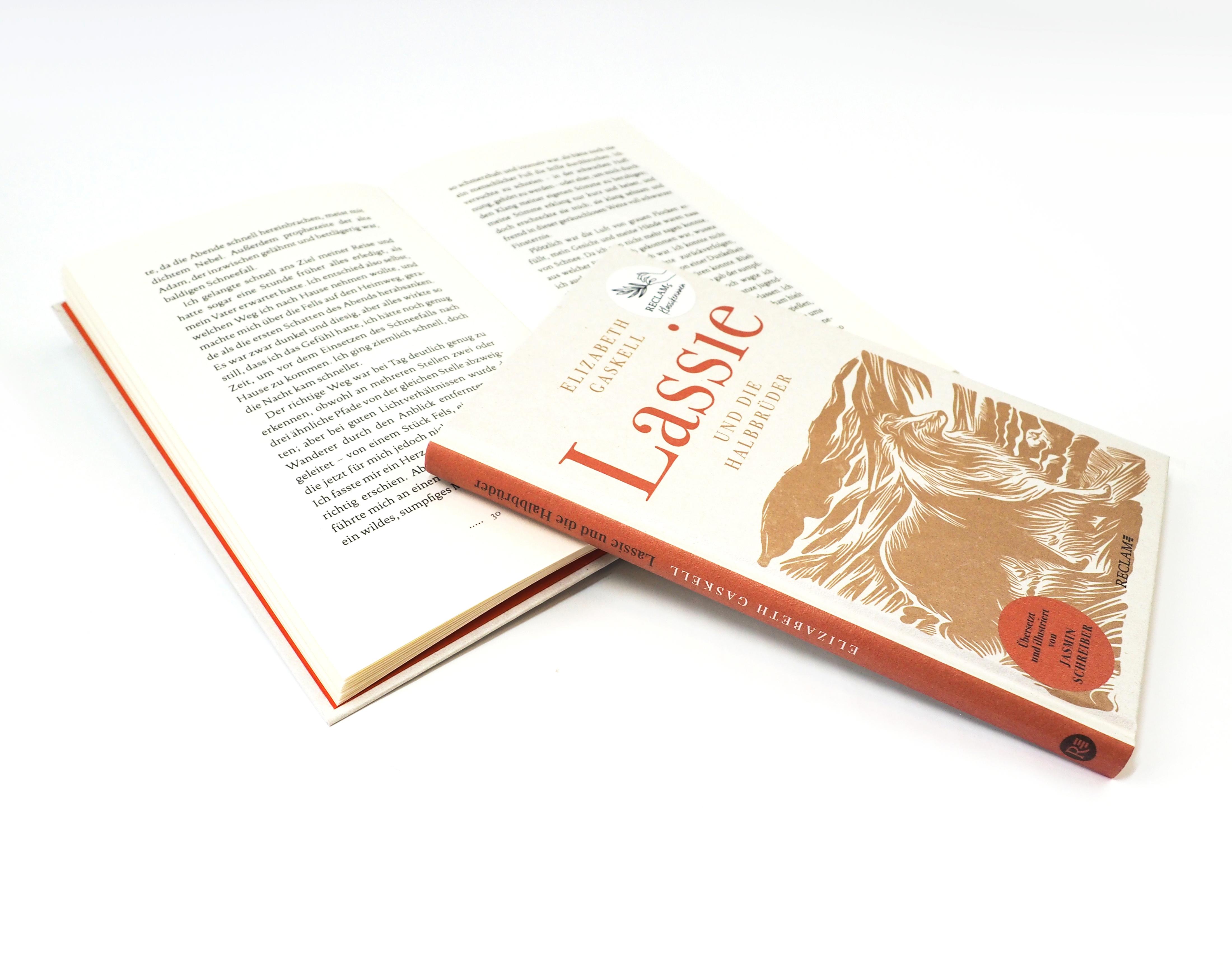 Beispielinhalt (Bild) Lassie und die Halbbrüder