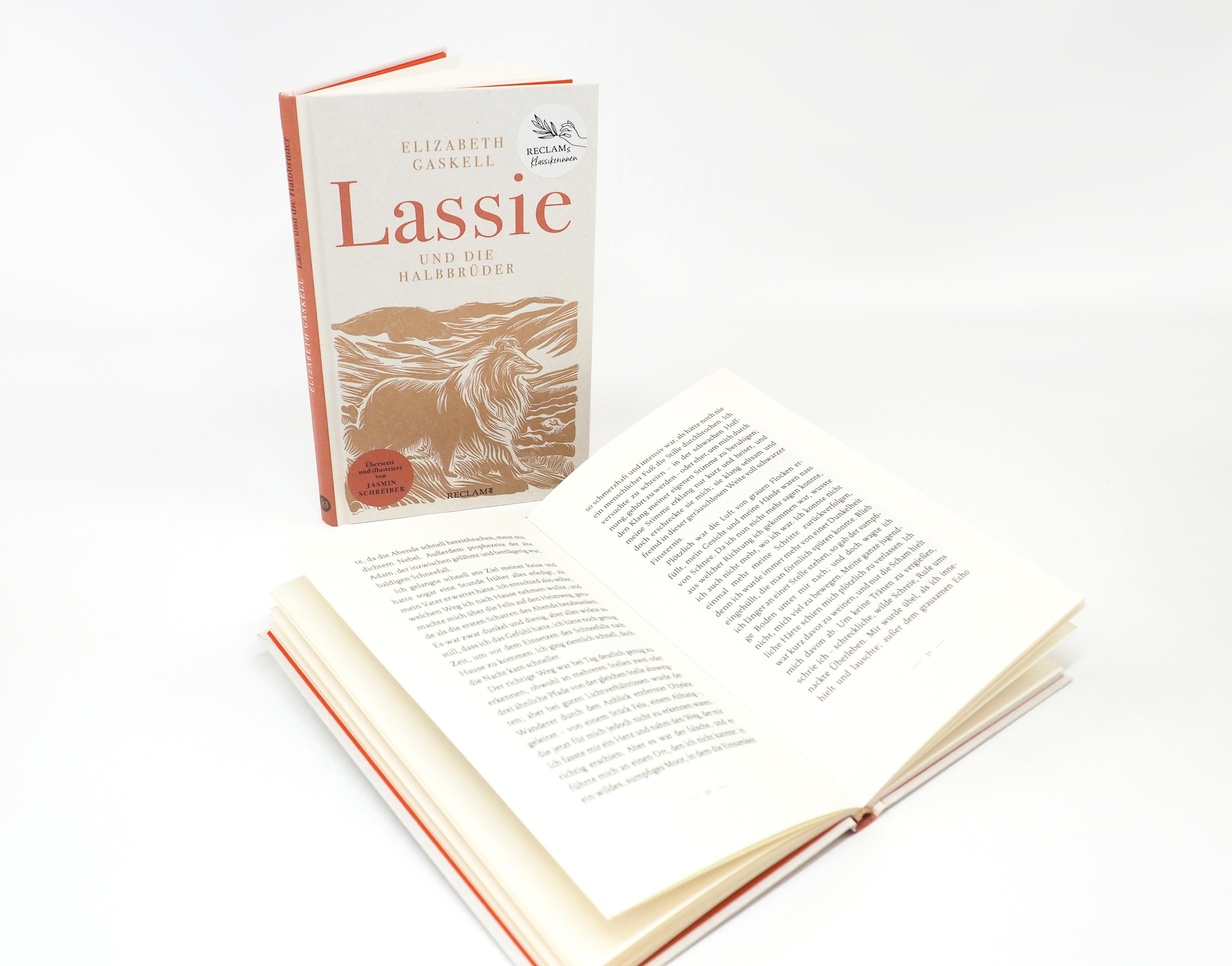 Beispielinhalt (Bild) Lassie und die Halbbrüder