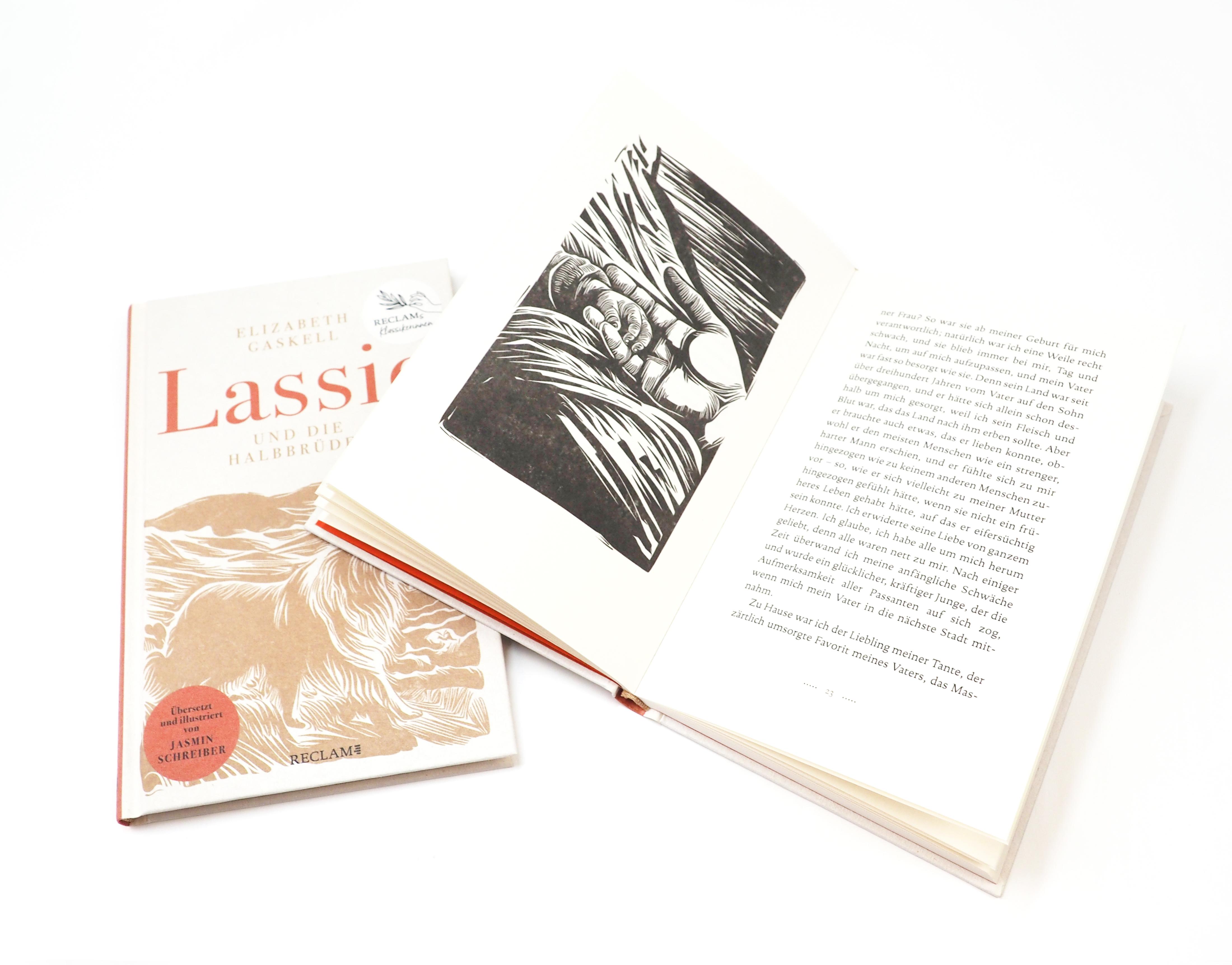 Beispielinhalt (Bild) Lassie und die Halbbrüder