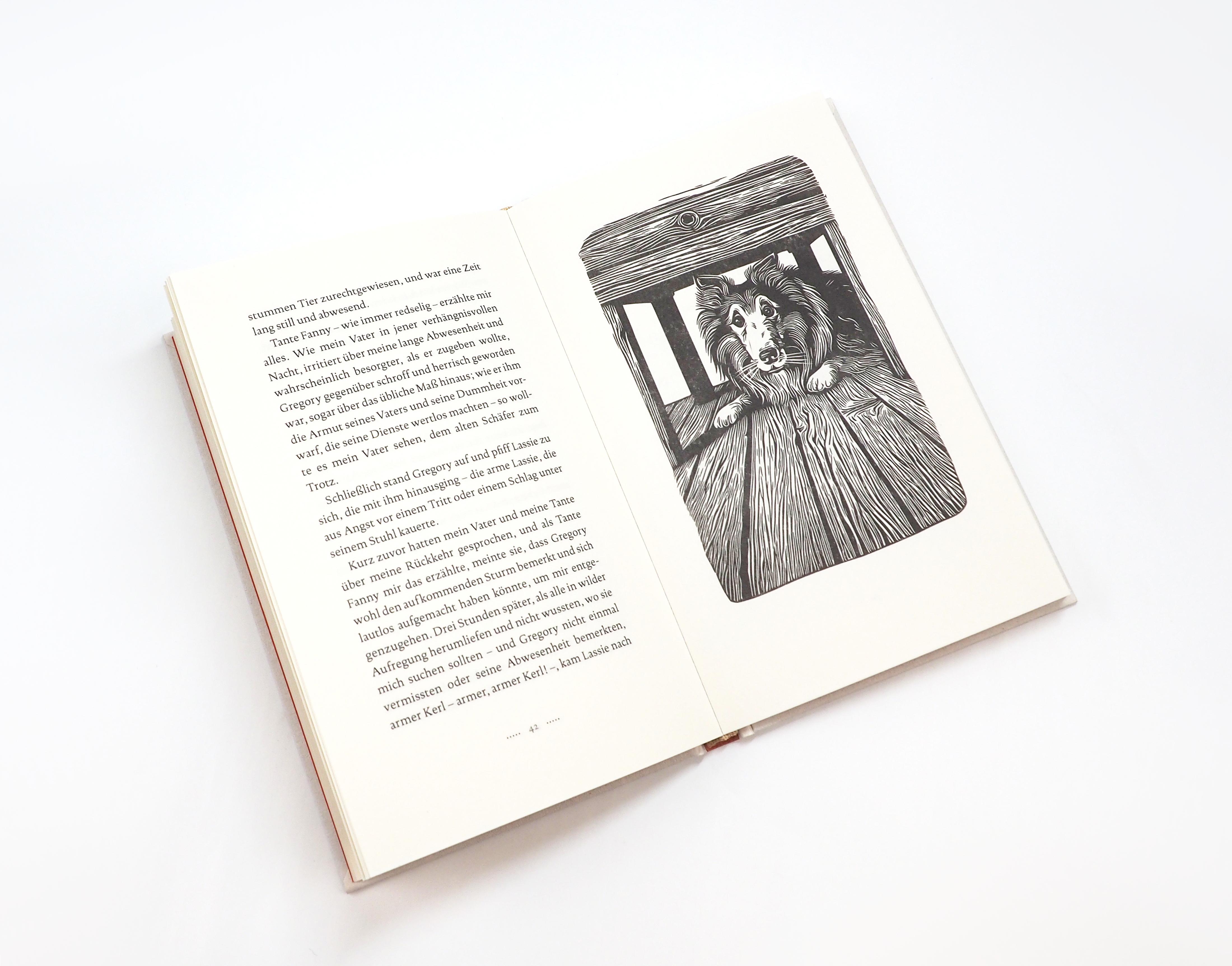 Beispielinhalt (Bild) Lassie und die Halbbrüder